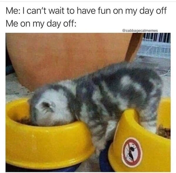 Relatable work memes Me: I can't wait to have fun on my day off Me on my day off: