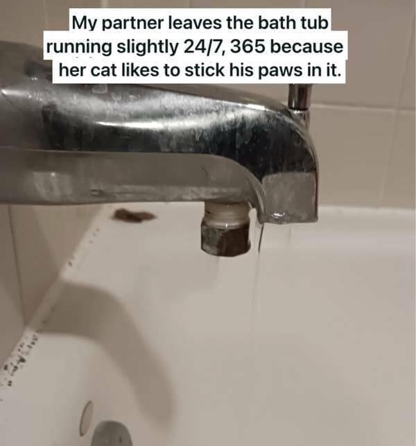 relationship memes, couple humor