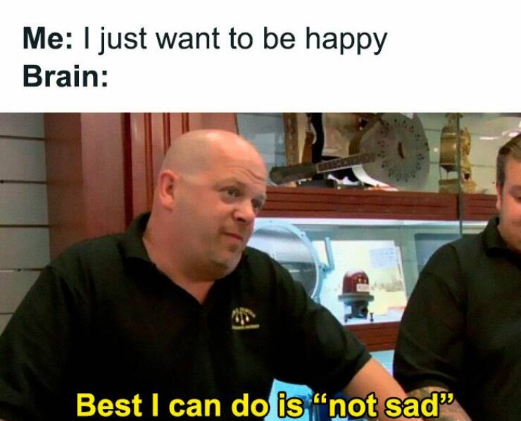 Serotonin memes Me: I just want to be happy Brain: Best I can do is "not sad"