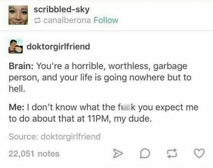 Serotonin memes Brain: You're a horrible, worthless, garbage person, and your life is going nowhere but to hell. Me: I don't know what the fk you expect me to do about that at 11PM, my dude.