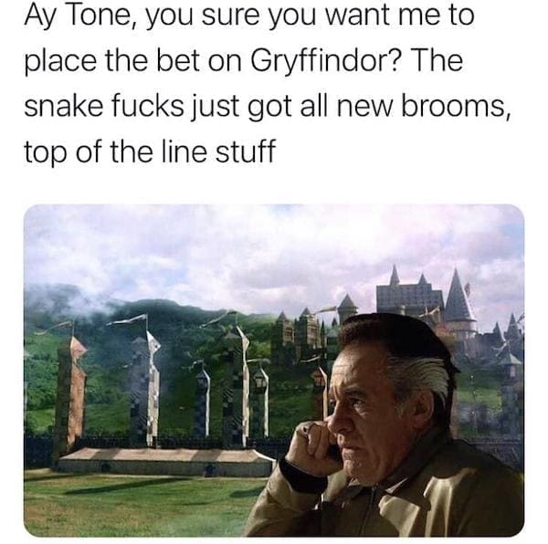 Sopranos memes Ay Tone, you sure you want me to place the bet on Gryffindor? The snake just got all new brooms, top of the line stuff
