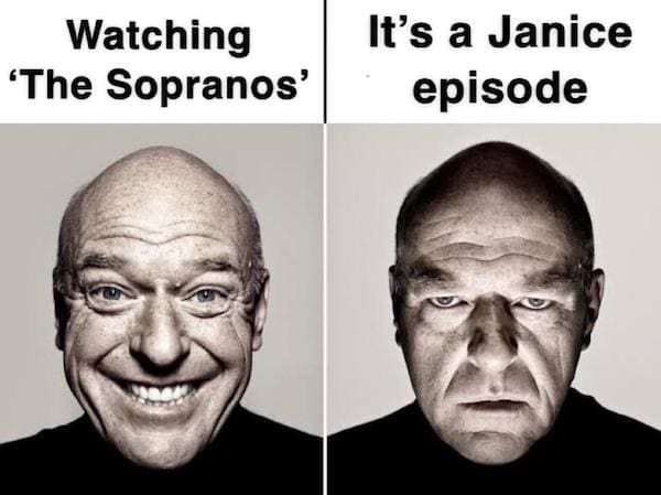 Sopranos memes Watching 'The Sopranos' It's a Janice episode