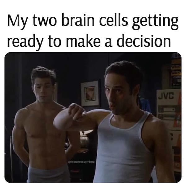 Sopranos memes My two brain cells getting ready to make a decision