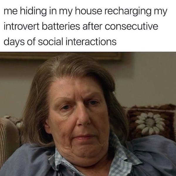 Sopranos memes me hiding in my house recharging my introvert batteries after consecutive days of social interactions