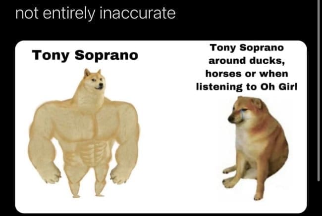 Sopranos memes not entirely inaccurate Tony Soprano Tony Soprano around ducks, horses or when listening to Oh Girl