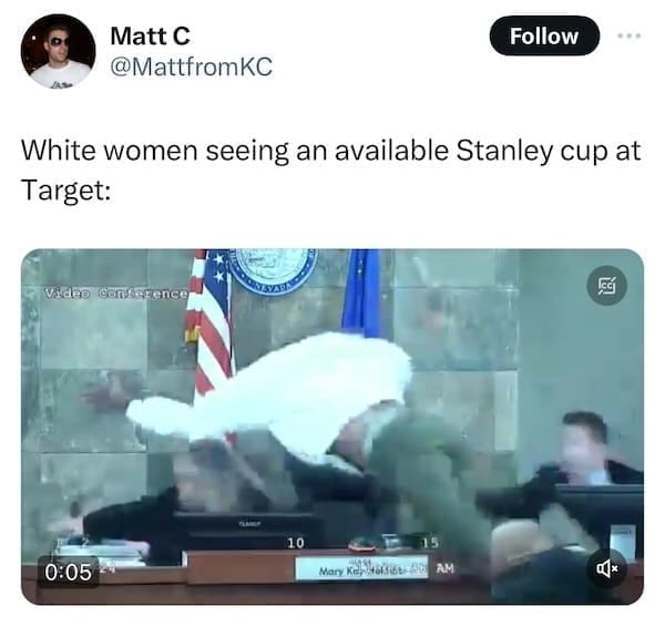 Stanley Tumblr Cup Mug Memes White women seeing an available Stanley cup at Target: