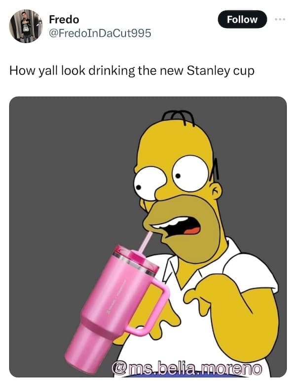 Stanley Tumblr Cup Mug Memes How yall look drinking the new Stanley cup