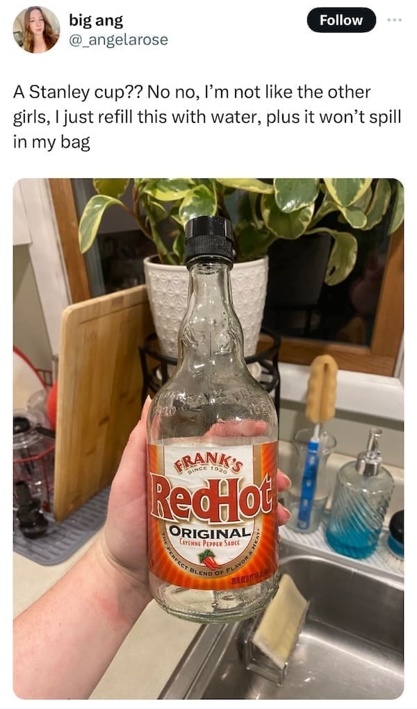 Stanley Tumblr Cup Mug Memes A Stanley cup?? No no, I'm not like the other girls, I just refill this with water, plus it won't spill in my bag