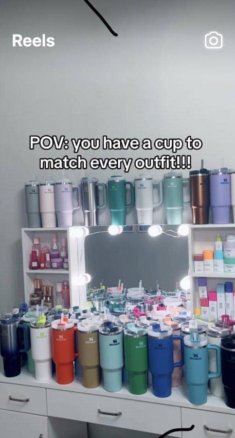 Stanley Tumblr Cup Mug Memes POV: you have a cup to match every outfit!!!