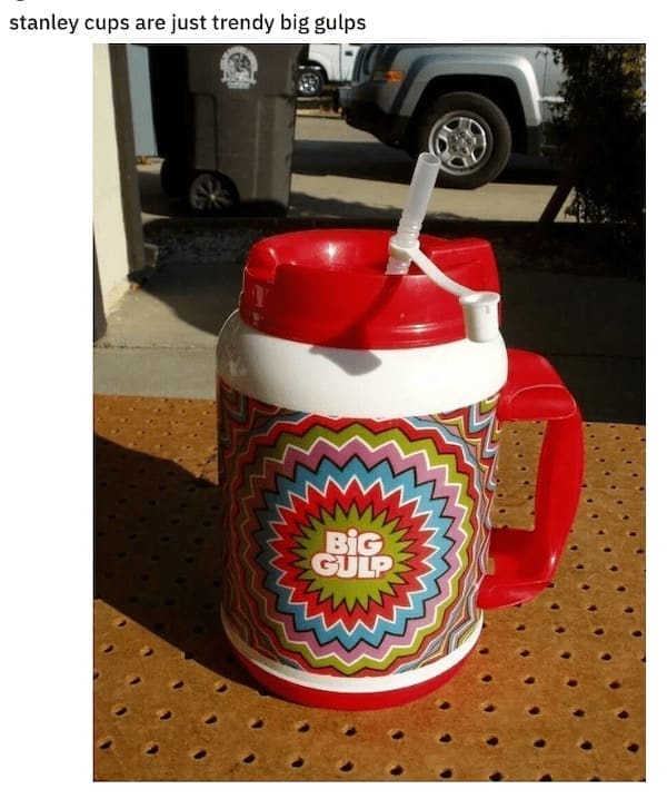Stanley Tumblr Cup Mug Memes stanley cups are just trendy big gulps BIG