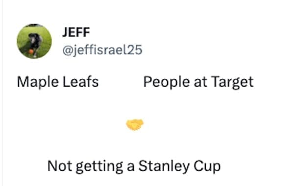 Stanley Tumblr Cup Mug Memes Maple Leafs People at Target Not getting a Stanley Cup