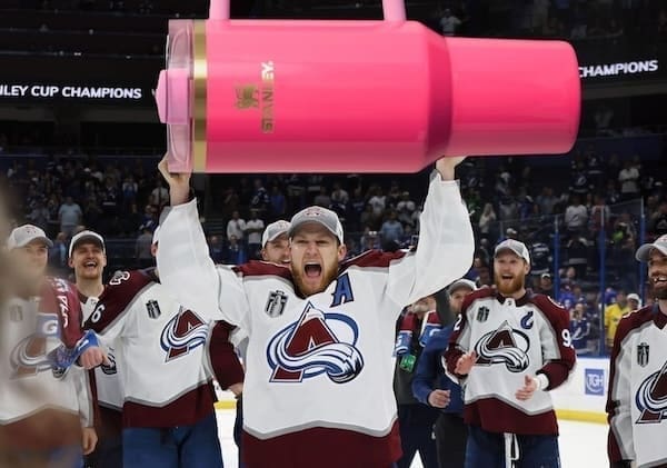 Stanley Tumblr Cup Mug Memes