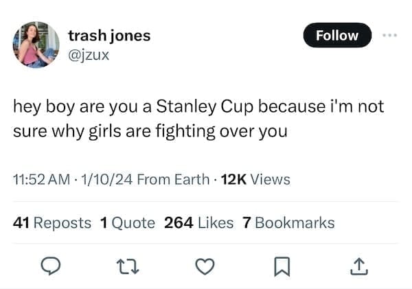 Stanley Tumblr Cup Mug Memes @jzux Follow hey boy are you a Stanley Cup because i'm not sure why girls are fighting over you