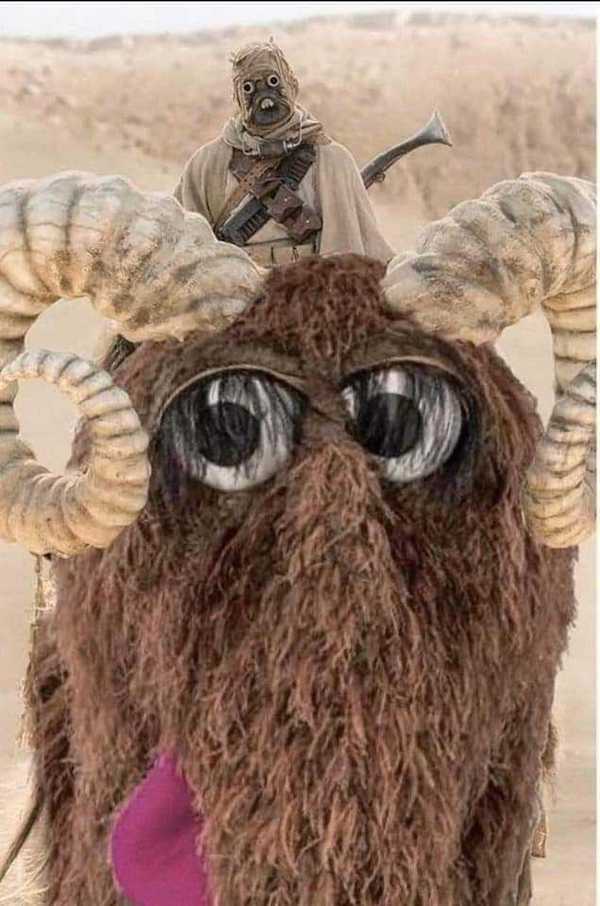 star wars memes, jedi memes