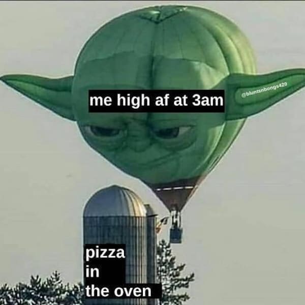 Stoner memes me high af at 3am pizza in the oven