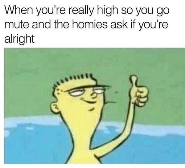 Stoner memes When you're really high so you go mute and the homies ask if you're alright