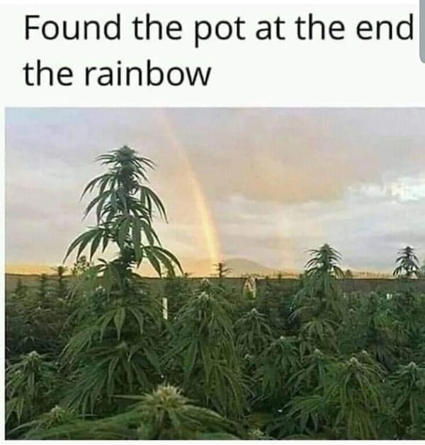 Stoner memes Found the pot at the end the rainbow