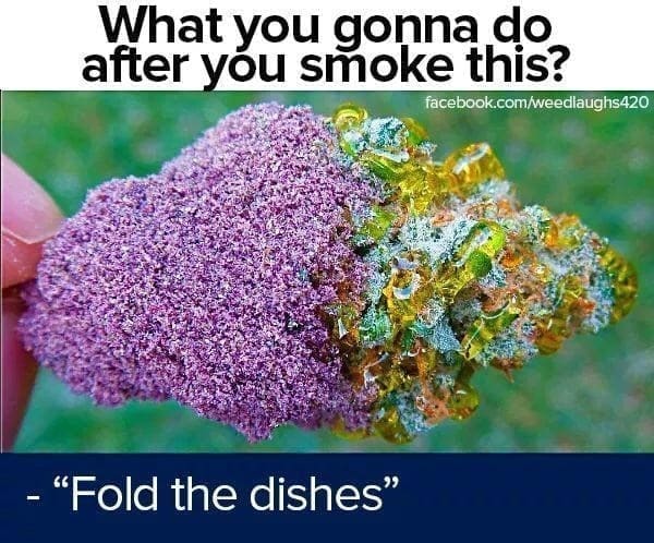 Stoner memes What you gonna do after you smoke this? - "Fold the dishes"