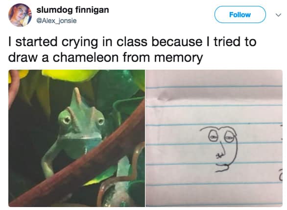 stupid memes, silly memes