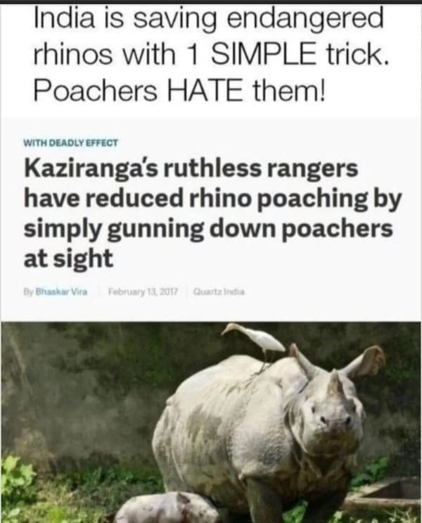 India is saving endangered rhinos with 1 SIMPLE trick. Poachers HATE them! WITH DEADLY EFFECT Kaziranga's ruthless rangers have reduced rhino poaching by simply gunning down poachers at sight
