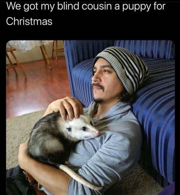 We got my blind cousin a puppy for Christmas possum