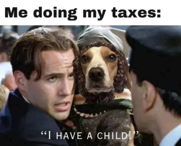 Tax memes Me doing my taxes: "I HAVE A CHILD!?