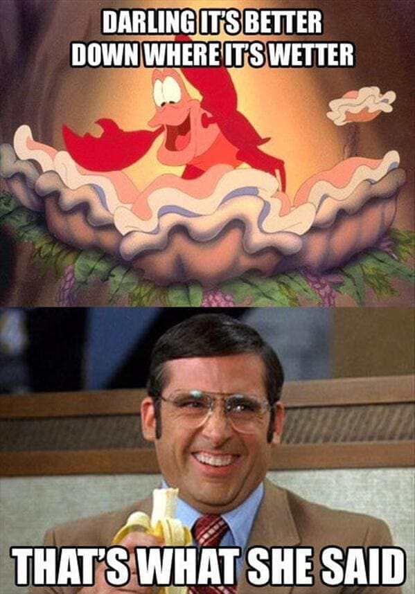 That's what she said memes DARLING IT'S BETTER DOWN WHERE IT'S WETTER