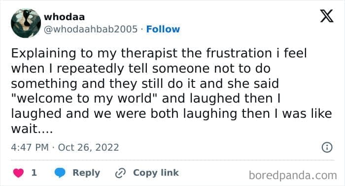 Therapy memes Explaining to my therapist the frustration i feel when I repeatedly tell someone not to do something and they still do it and she said "welcome to my world" and laughed then I laughed and we were both laughing then I was like wait....