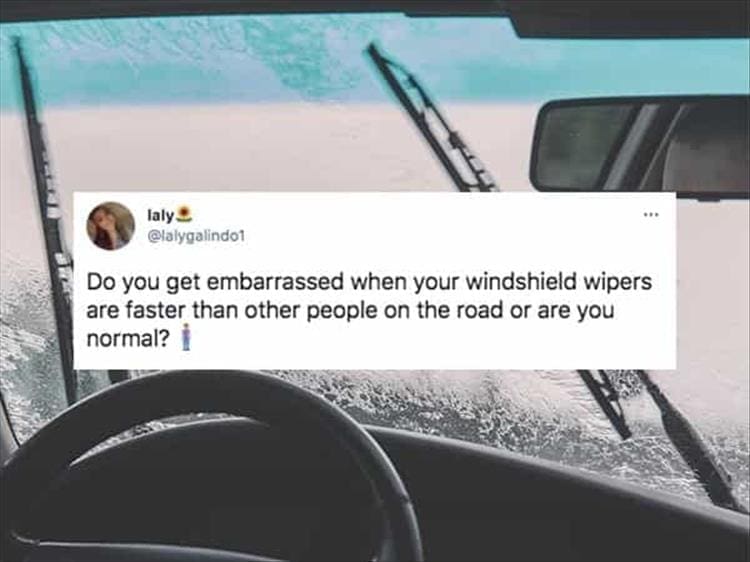 Do you get embarrassed when your windshield wipers are master