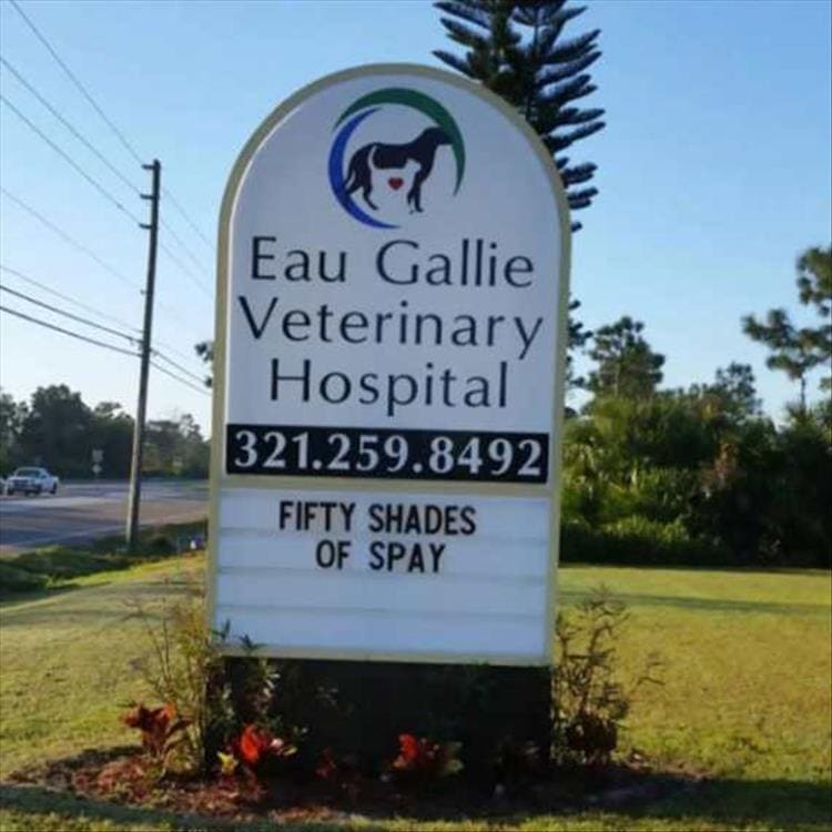vet signs