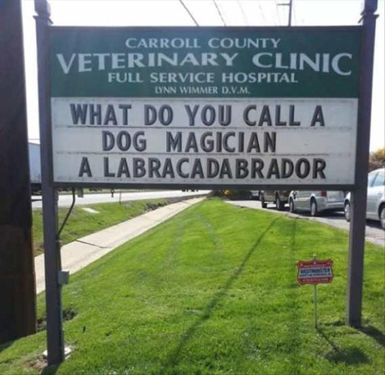vet signs CARROLL COUNTY VETERINARY CLINIC FULL SERVICE HOSPITAL LYNN WIMMER D.V.M. WHAT DO YOU CALL A DOG MAGICIAN A LABRACADABRADOR