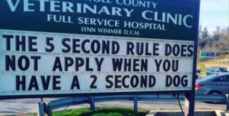 vet signs THE 5 SECOND RULE DOES NOT APPLY WHEN YOU HAVE A 2 SECOND DOG