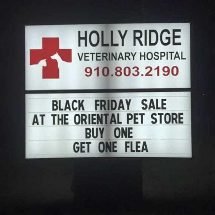 vet signs BLACK FRIDAY SALE AT THE ORIENTAL PET STORE BUY ONE GET ONE FLEA