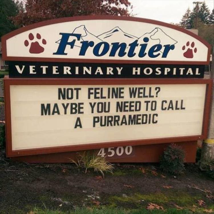 vet signs Frontier VETERINARY HOSPITAL NOT FELINE WELL? MAYBE YOU NEED TO CALL A PURRAMEDIC