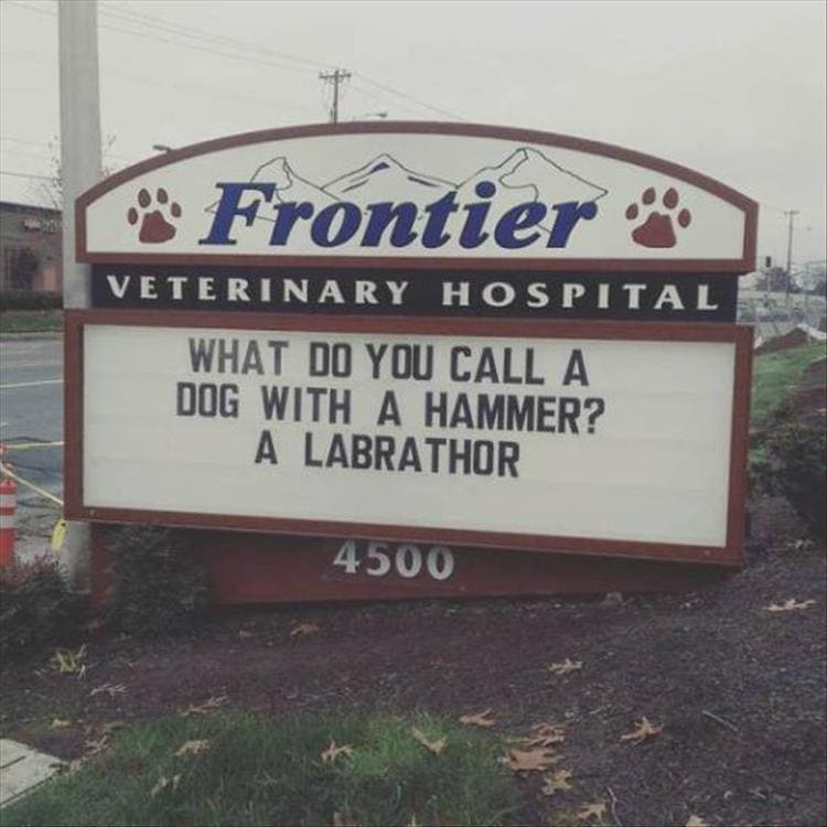vet signs Frontier VETERINARY HOSPITAL WHAT DO YOU CALL A DOG WITH A HAMMER? A LABRATHOR