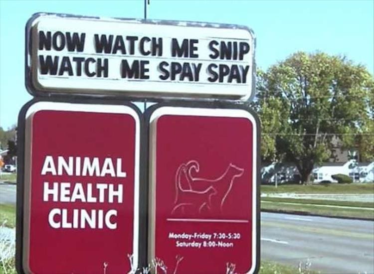 vet signs NOW WATCH ME SNIP WATCH ME SPAY SPAY