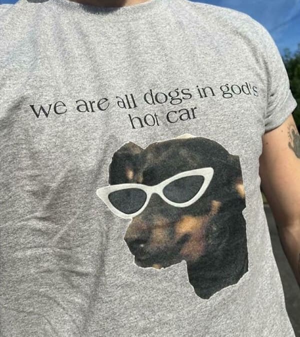 weird funny tshirts we are all dogs in gods hot car