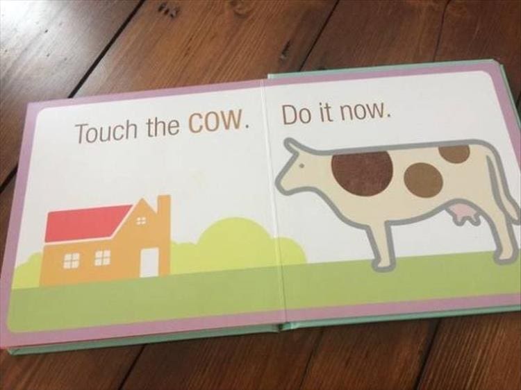 Weird kid books Touch the COW. Do it now.