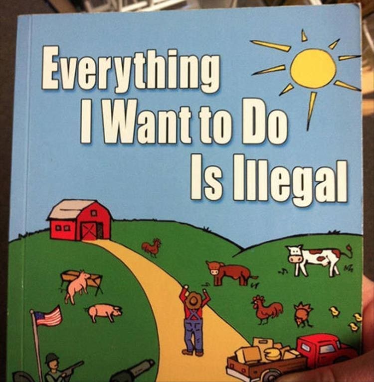 Weird kid books Everything I Want to Do Is legal