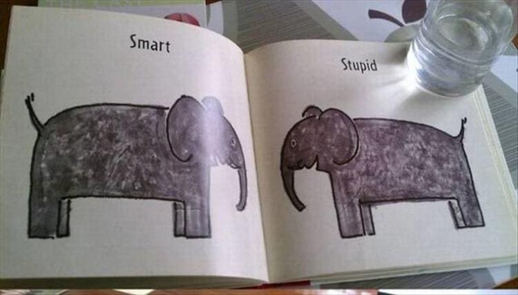 Weird kid books Smart Stupid