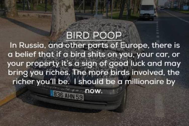 BIRD POOP In Russia, and other parts of Europe, there is a belief that if a bird shits on you, your car, or your property it's a sign of good luck and may bring you riches. The more birds involved, the richer you'll be. I should be a millionaire by now.