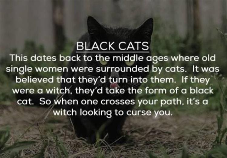 BLACK CATS This dates back to the middle ages where old single women were surrounded by cats. It was believed that they'd turn into them. If they were a witch, they'd take the form of a black cat. So when one crosses your path, it's a witch looking to curse you.
