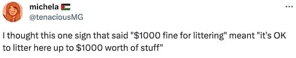 I thought this one sign that said "$1000 fine for littering" meant "it's OK to litter here up to $1000 worth of stuff"
