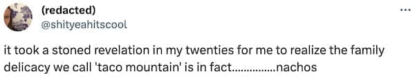 it took a stoned revelation in my twenties for me to realize the family delicacy we call 'taco mountain' is in fact... ..nachos
