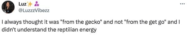 I always thought it was "from the gecko" and not "from the get go" and I didn't understand the reptilian energy