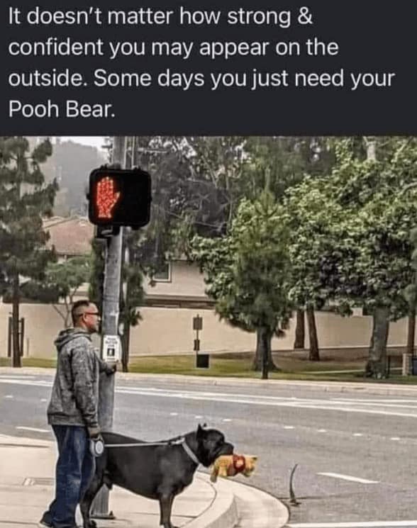 doggy memes, pup humor, canine comedy