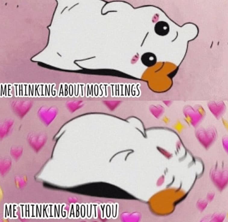 wholesome memes, heartwarming tales