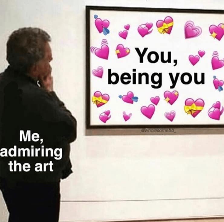 wholesome memes, heartwarming tales
