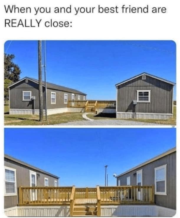 wholesome memes, heartwarming tales