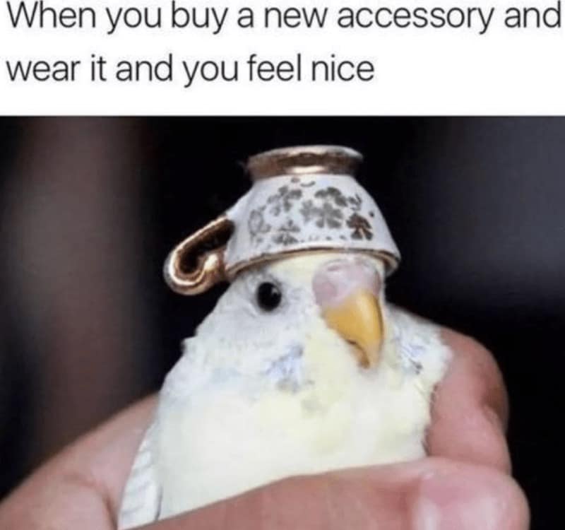 wholesome memes, heartwarming tales